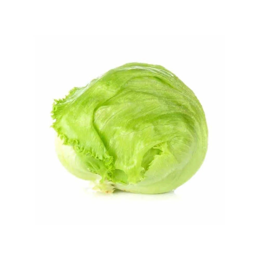 Ice Berg Lettuce image 1