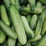 Cucumber/Kheera image 1